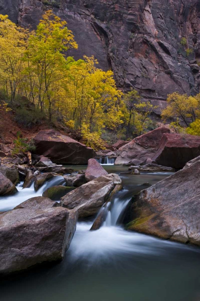 Utah, Zion NP Canyon waterfall with cottonwoods art print by Nancy Rotenberg for $57.95 CAD