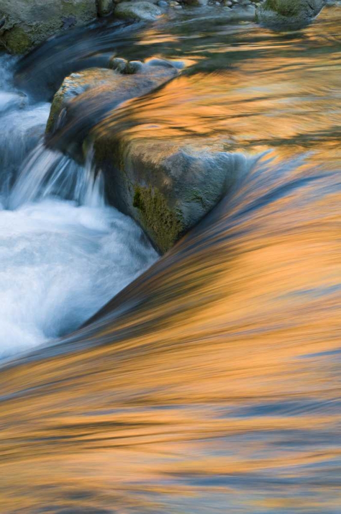 UT, Zion NP Canyon and sky in the Virgin River art print by Nancy Rotenberg for $57.95 CAD