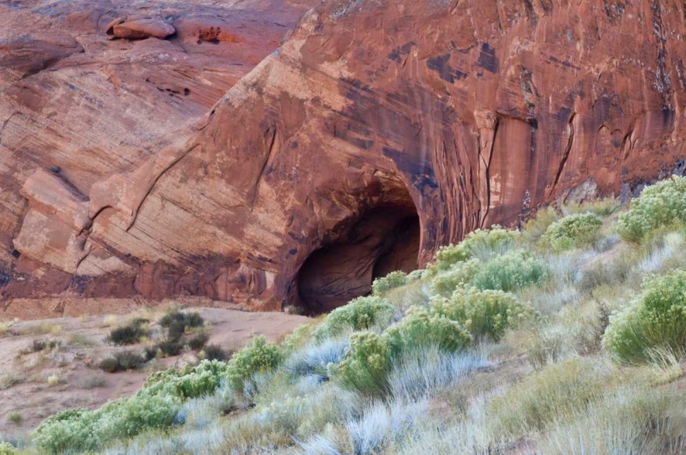 Utah, Monument Valley Cave in Red Rock Canyon art print by Nancy Rotenberg for $57.95 CAD
