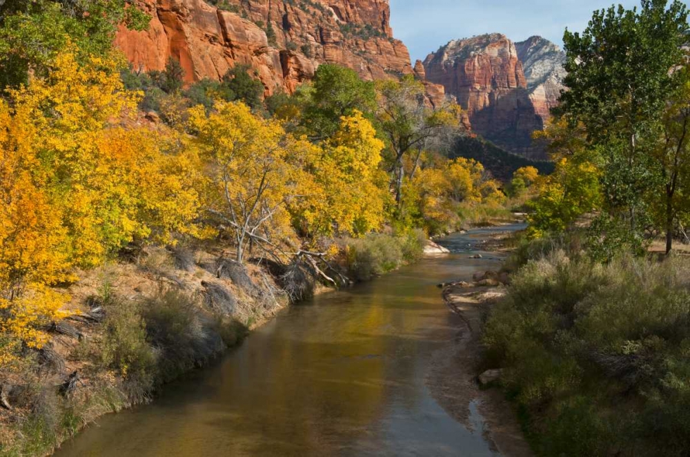 UT, Zion NP Zion Canyon and Virgin River art print by Nancy Rotenberg for $57.95 CAD