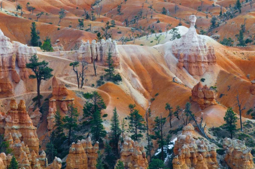 USA, Utah Hoodoo formations in Bryce Canyon NP art print by Nancy Rotenberg for $57.95 CAD