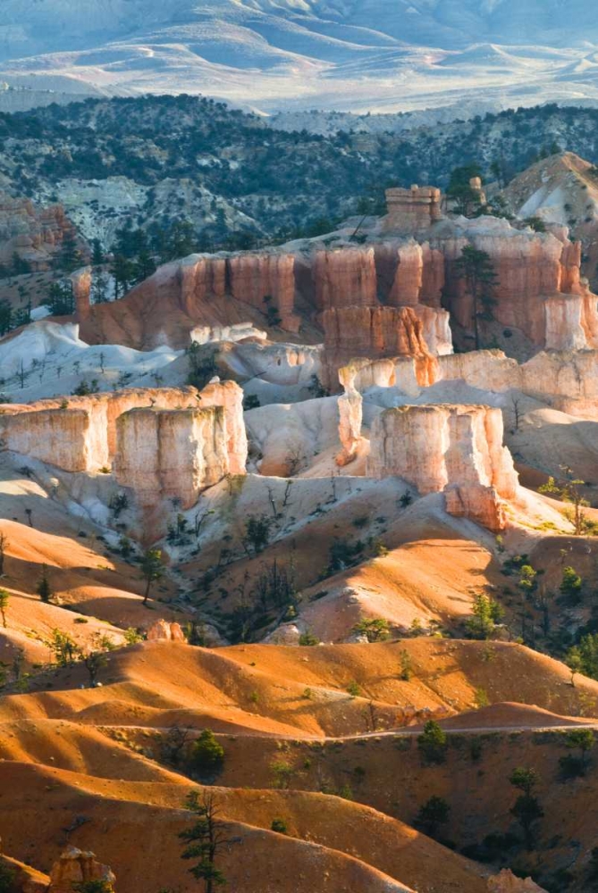 USA, Utah Hoodoo formations in Bryce Canyon NP art print by Nancy Rotenberg for $57.95 CAD