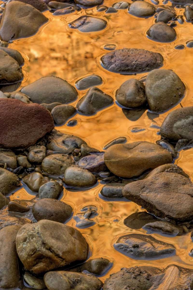 USA, Utah, Zion NP Rocks in water art print by Jay OBrien for $57.95 CAD