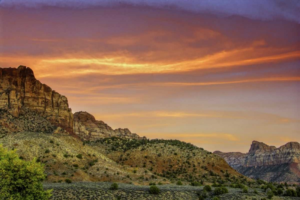 USA, Utah, Zion NP Mountain landscape art print by Jay OBrien for $57.95 CAD