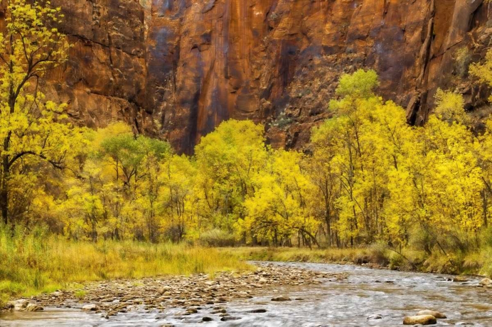 USA, Utah, Zion NP Stream in autumn landscape art print by Jay OBrien for $57.95 CAD