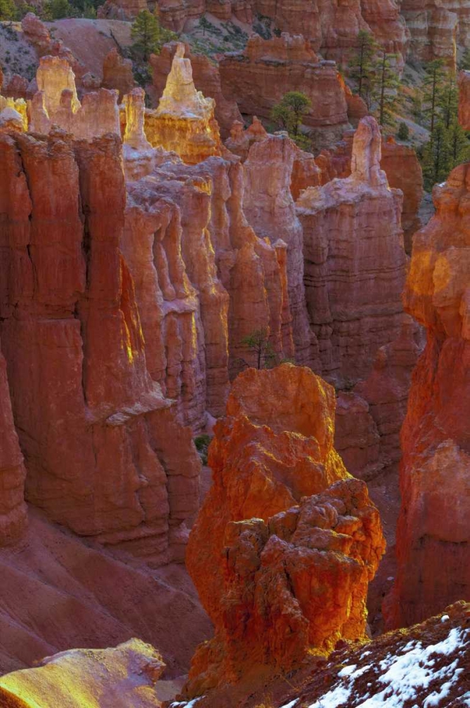 USA, Utah, Bryce Canyon NP Close-up of hoodoos art print by Jay OBrien for $57.95 CAD