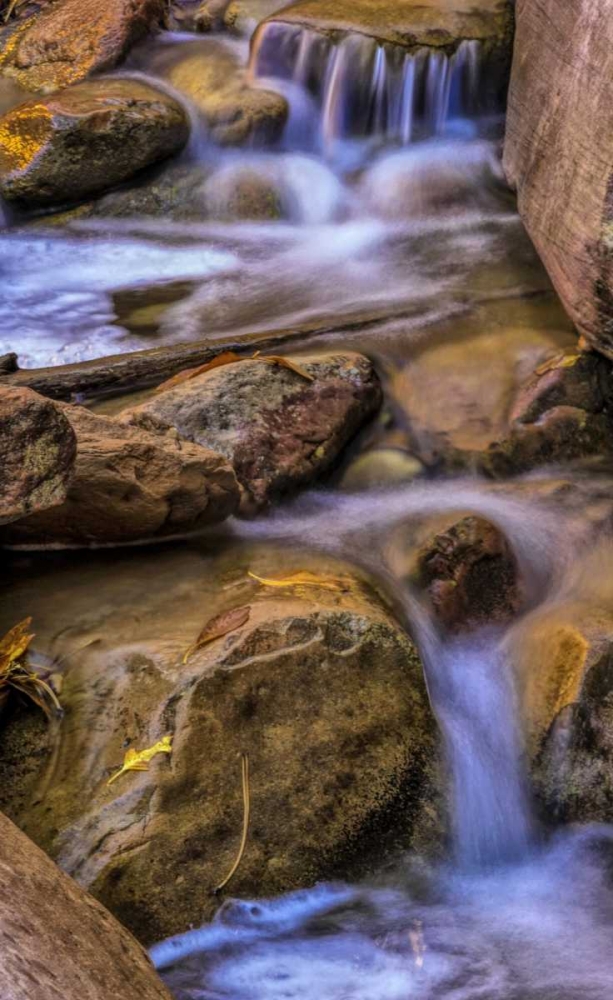 USA, Utah, Zion NP Rocks in stream art print by Jay OBrien for $57.95 CAD
