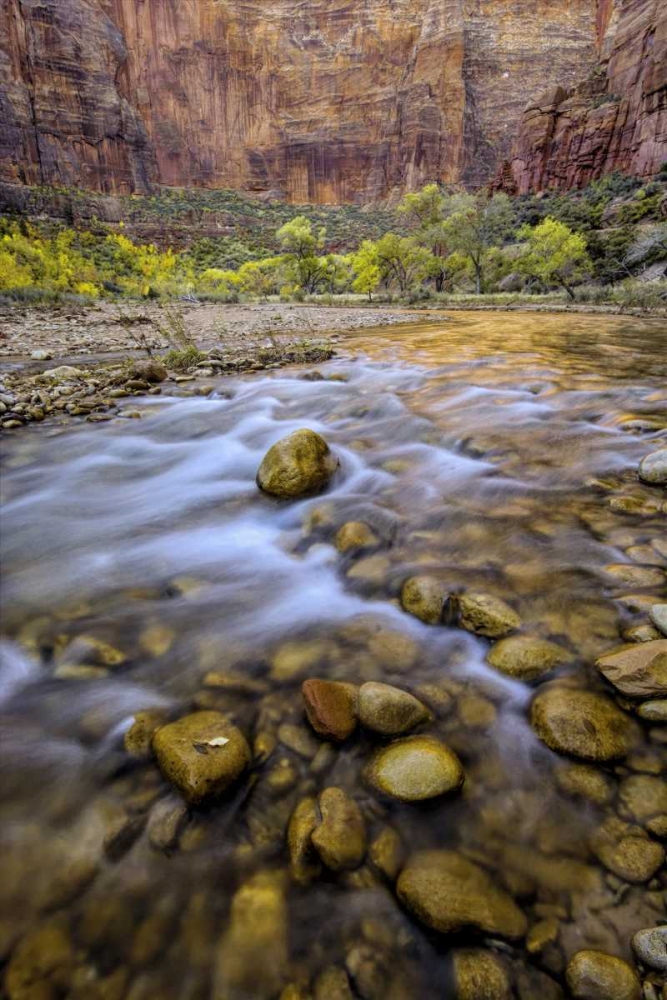 USA, Utah, Zion NP Stream in autumn scenic art print by Jay OBrien for $57.95 CAD
