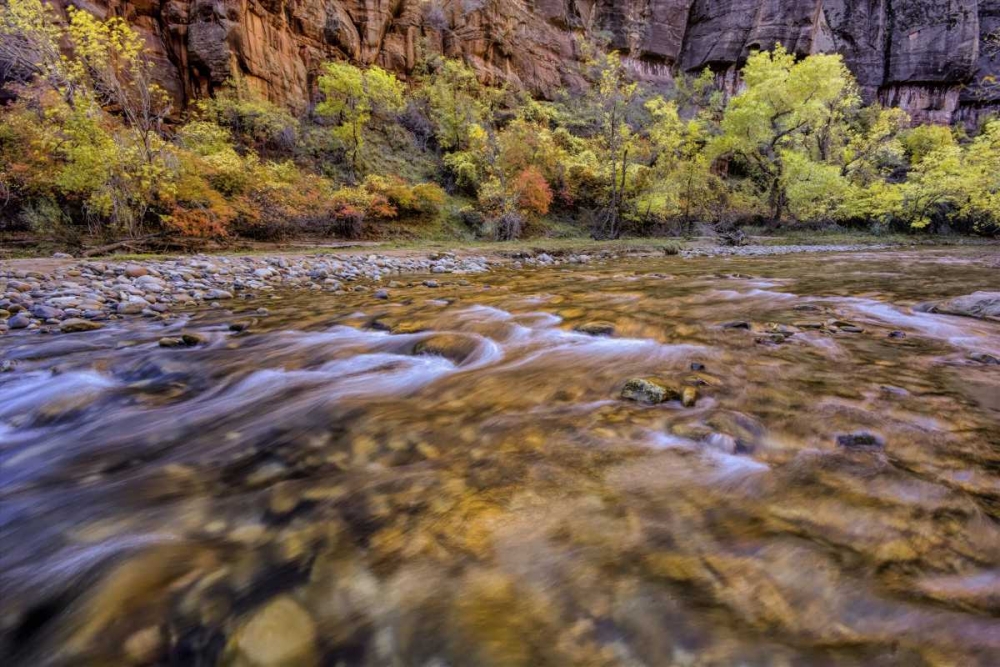 USA, Utah, Zion NP Stream in autumn scenic art print by Jay OBrien for $57.95 CAD
