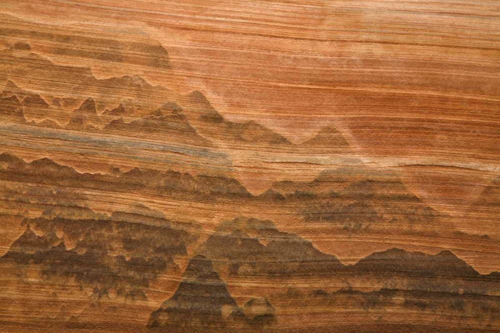USA, Utah Desert varnish stain on sandstone wall art print by Don Paulson for $57.95 CAD