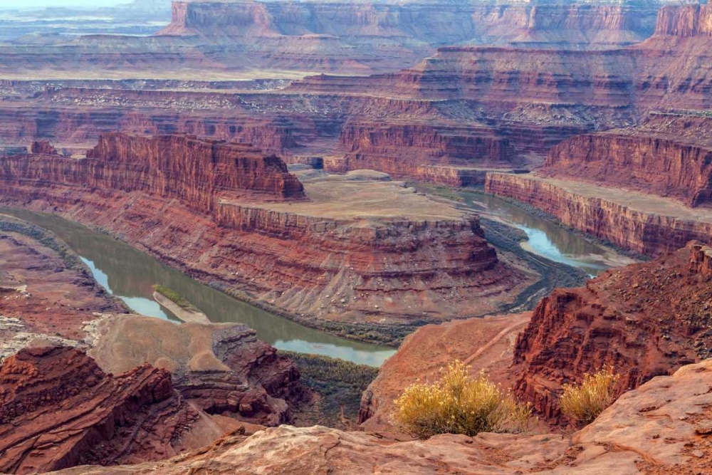 UT, Dead Horse Point SP Colorado River gooseneck art print by Cathy and Gordon Illg for $57.95 CAD