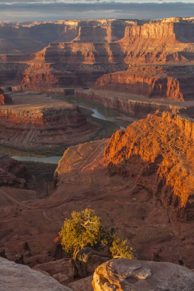 Utah, Dead Horse Point Sunrise on Colorado River art print by Cathy and Gordon Illg for $57.95 CAD
