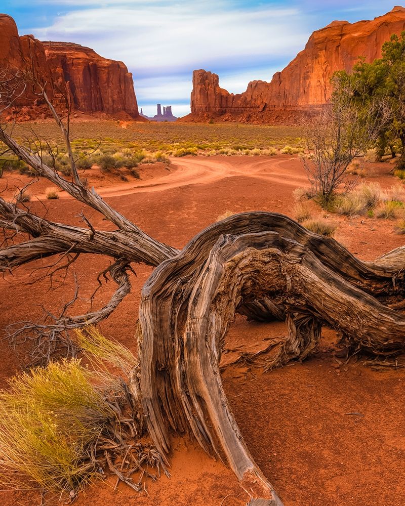 Utah-Monument Valley Landscape and dead tree art print by Jaynes Gallery for $57.95 CAD