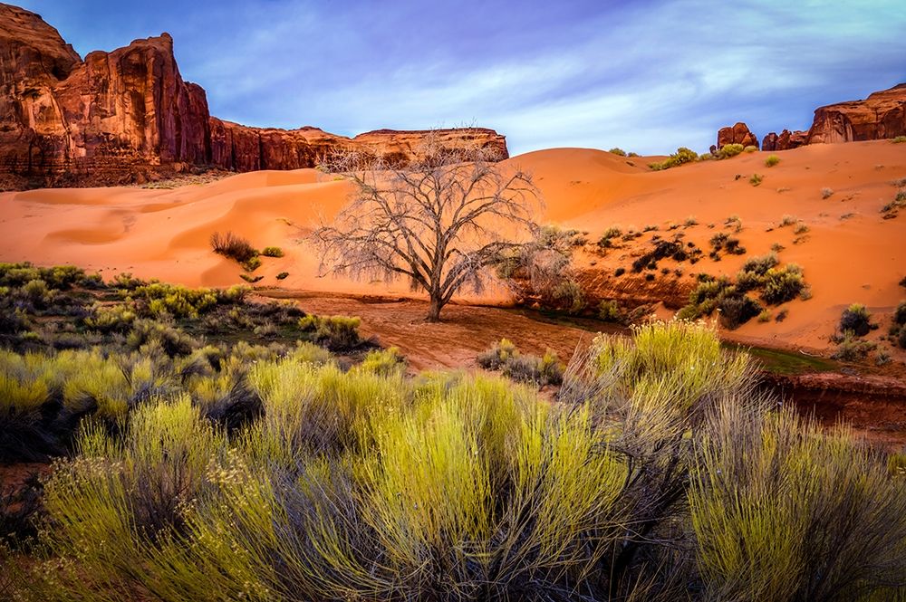 Utah-Monument Valley Landscape and dead tree art print by Jaynes Gallery for $57.95 CAD