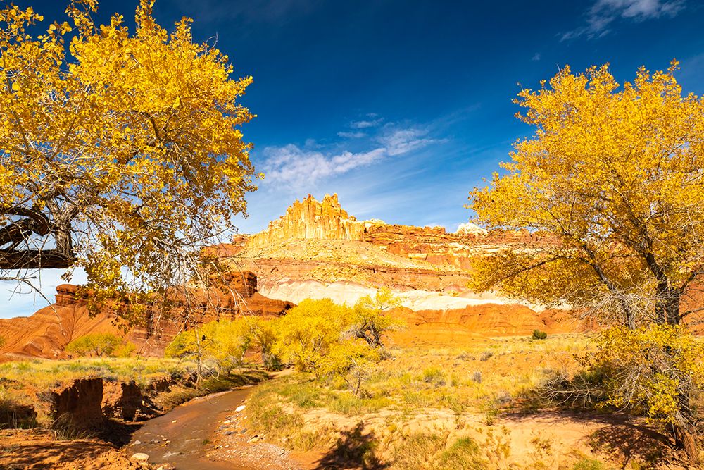 USA- Utah- Capitol Reef National Park. The Castle rock formation and Fremont River. art print by Jaynes Gallery for $57.95 CAD