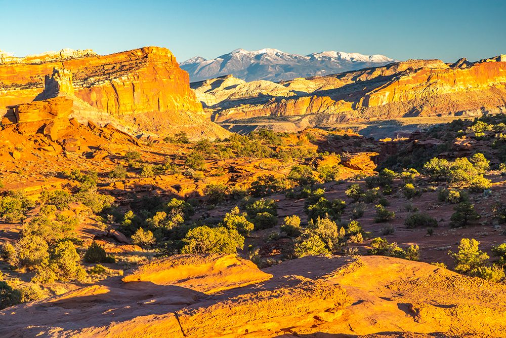 USA- Utah- Capitol Reef National Park. Eroded rock formations and mountains. art print by Jaynes Gallery for $57.95 CAD