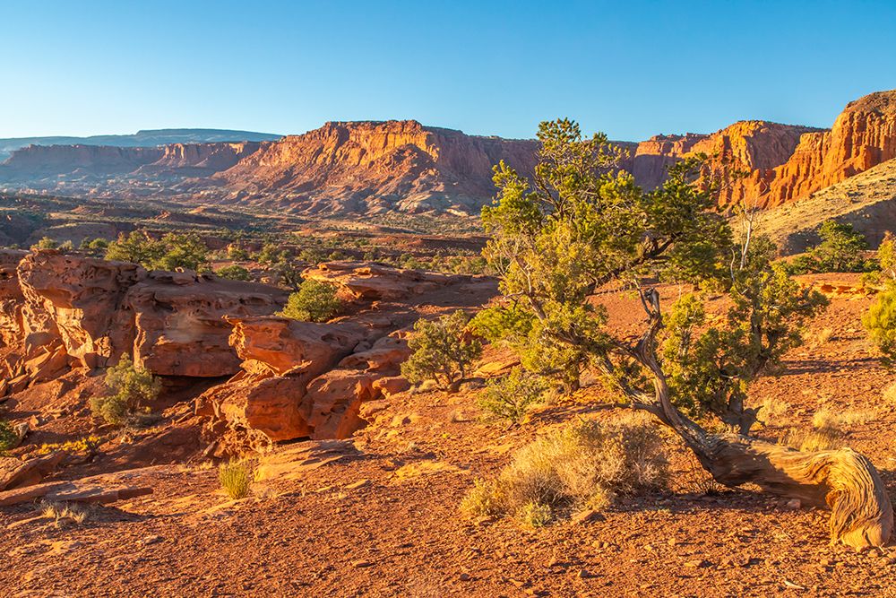 USA- Utah- Capitol Reef National Park. Eroded rock formations and mountains. art print by Jaynes Gallery for $57.95 CAD