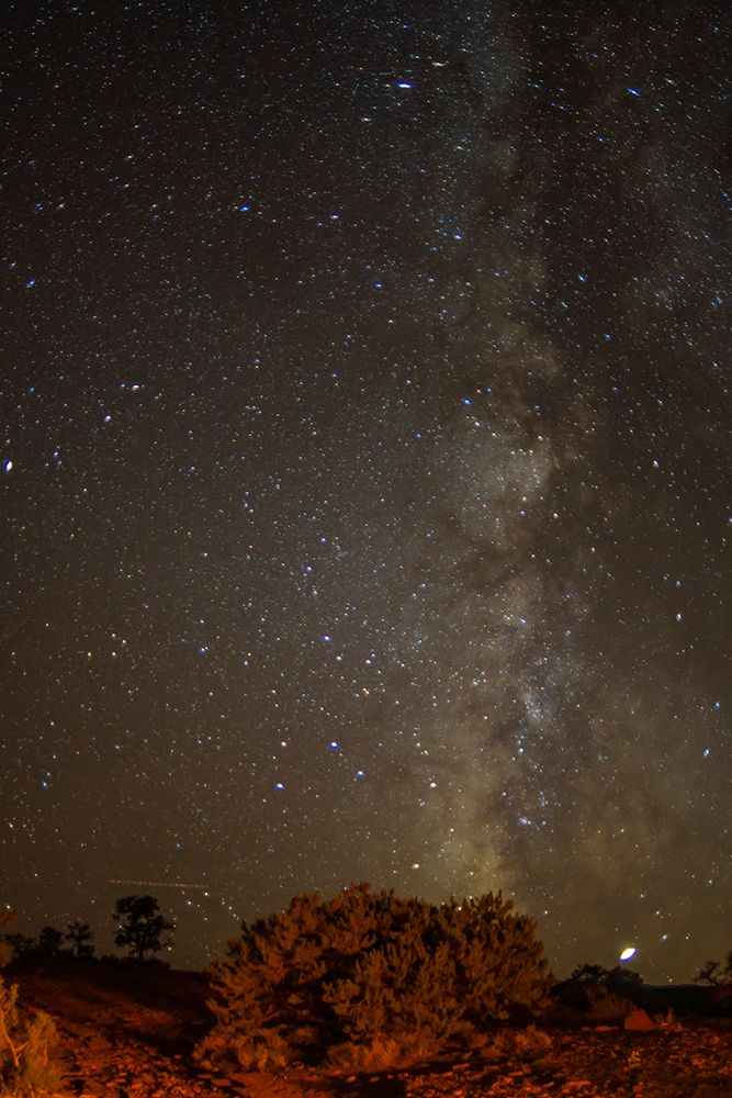 USA- Utah- Capitol Reef National Park. Milky Way galaxy. art print by Jaynes Gallery for $57.95 CAD
