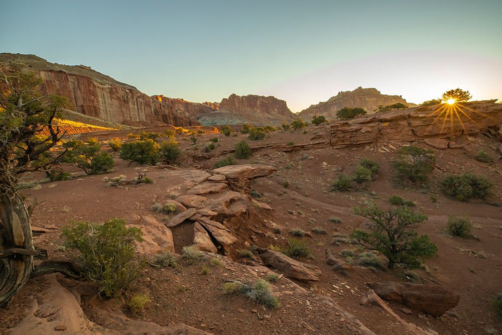 USA- Utah- Capitol Reef National Park. Sunrise sunburst on landscape. art print by Jaynes Gallery for $57.95 CAD
