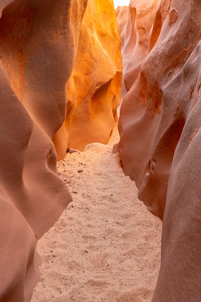 USA- Utah- Grand Staircase Escalante National Monument. Bighorn Canyon trail. art print by Jaynes Gallery for $57.95 CAD