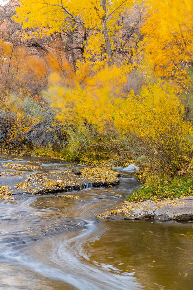 USA- Utah- Calf Creek Recreation Area in autumn. art print by Jaynes Gallery for $57.95 CAD