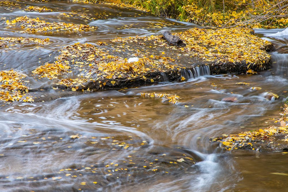 USA- Utah- Calf Creek Recreation Area in autumn. art print by Jaynes Gallery for $57.95 CAD