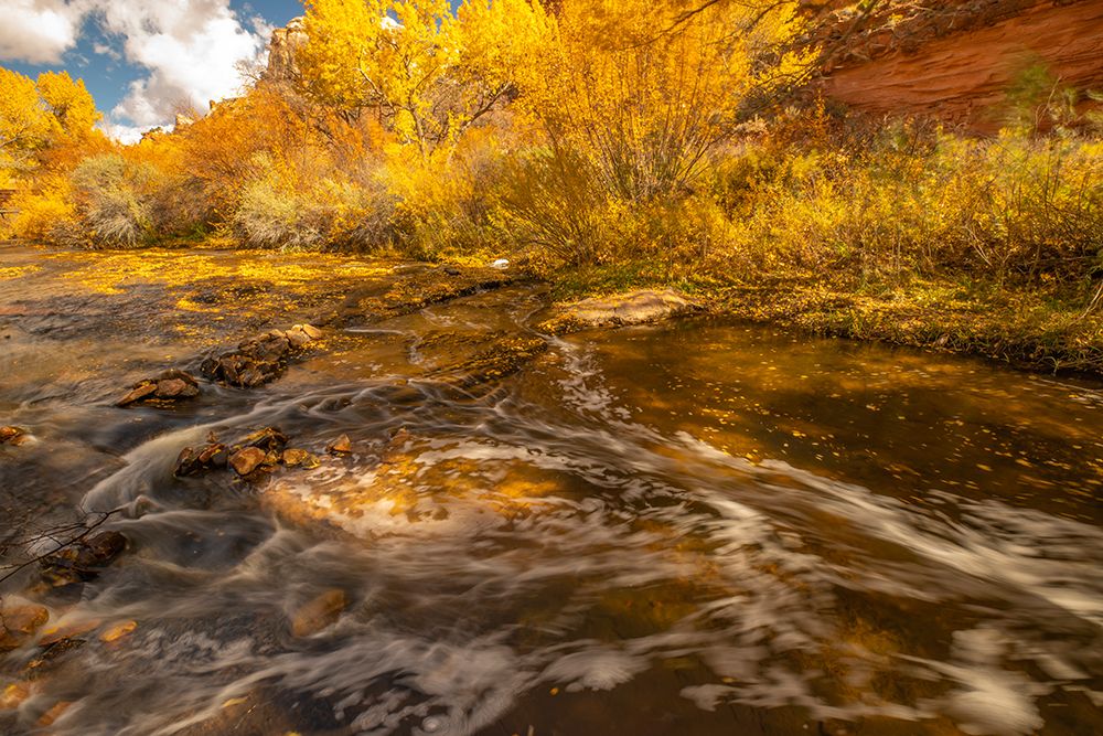 USA- Utah- Calf Creek Recreation Area in autumn. art print by Jaynes Gallery for $57.95 CAD