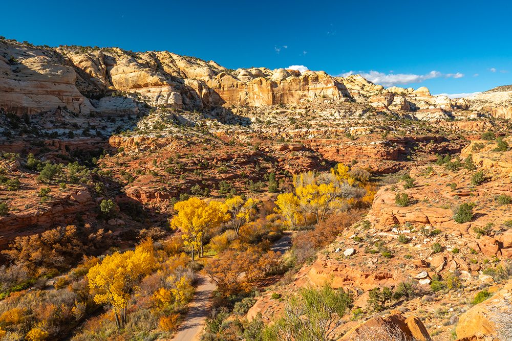 USA- Utah- Grand Staircase Escalante National Monument. Calf Creek Canyon art print by Jaynes Gallery for $57.95 CAD