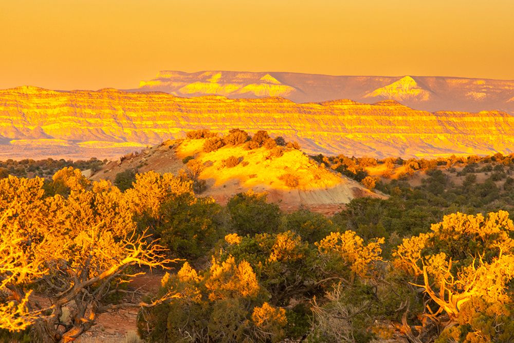USA- Utah- Grand Staircase Escalante National Monument. Sunrise on cliff and valley. art print by Jaynes Gallery for $57.95 CAD