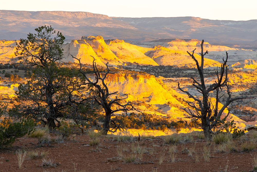 USA- Utah- Grand Staircase Escalante National Monument. Sunrise on eroded cliffs and valley. art print by Jaynes Gallery for $57.95 CAD