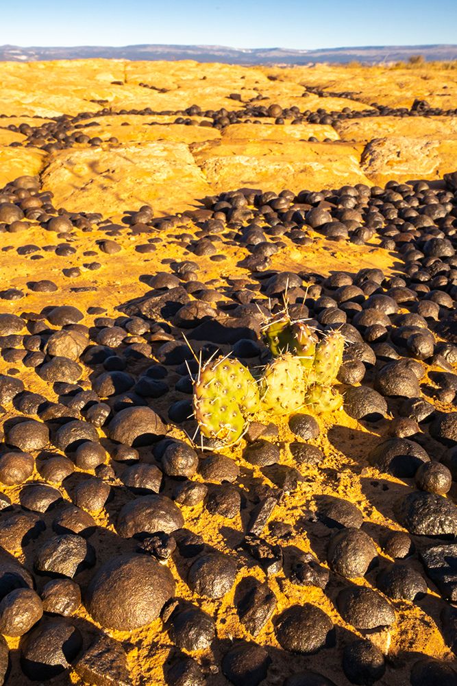 USA- Utah- Grand Staircase Escalante National Monument. Moqui marbles stones and rocks. art print by Jaynes Gallery for $57.95 CAD