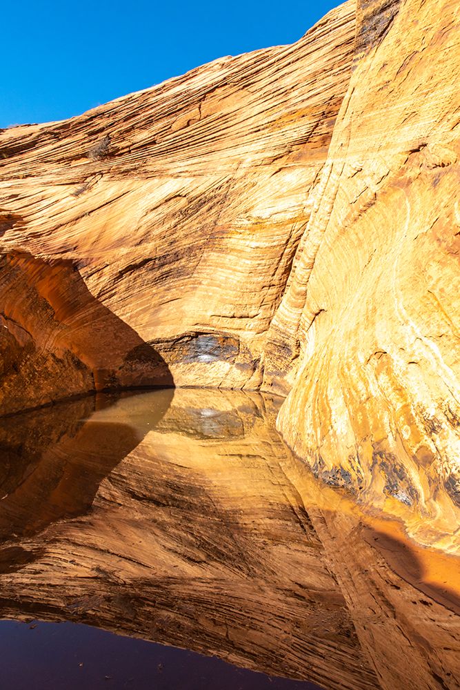 USA- Utah- Grand Staircase Escalante National Monument. Harris Wash rock formation art print by Jaynes Gallery for $57.95 CAD