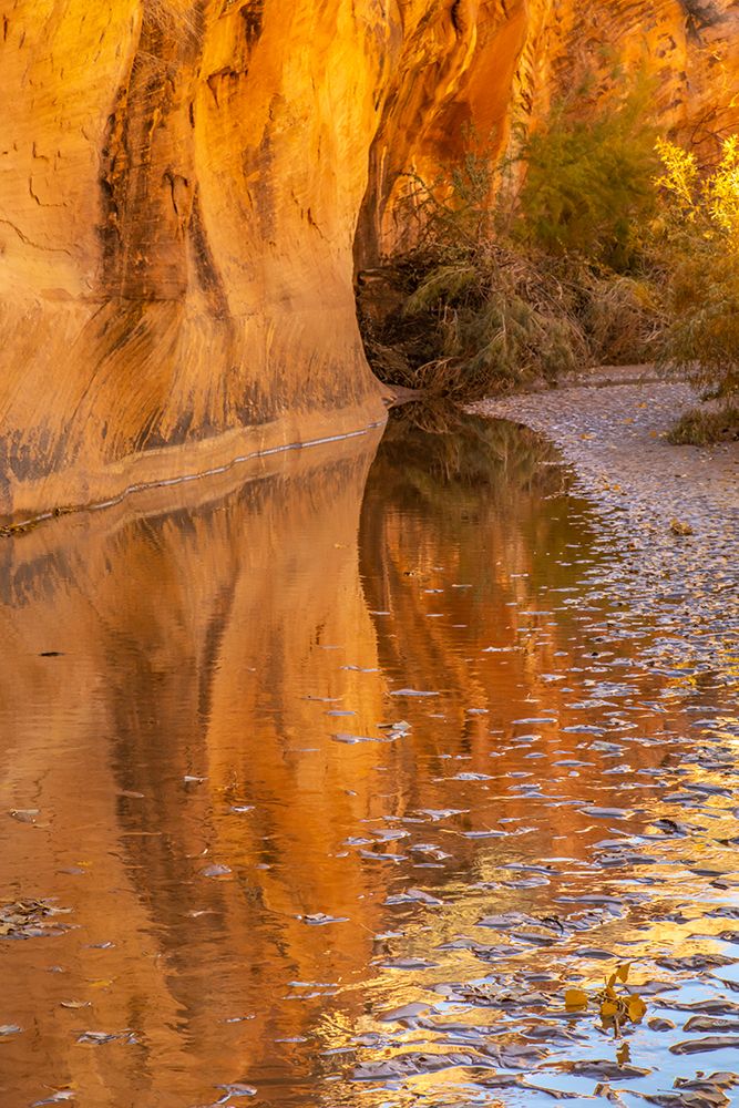 USA- Utah- Grand Staircase Escalante National Monument. Harris Wash and rock wall. art print by Jaynes Gallery for $57.95 CAD