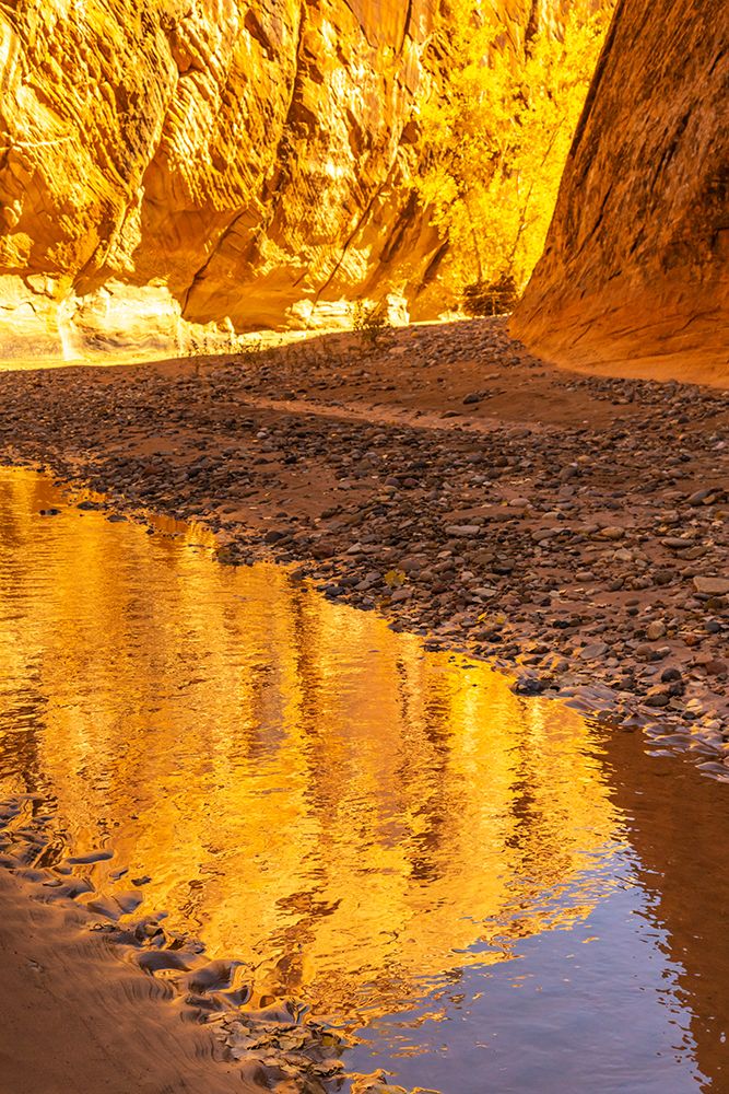 USA- Utah- Grand Staircase Escalante National Monument. Harris Wash reflection. art print by Jaynes Gallery for $57.95 CAD