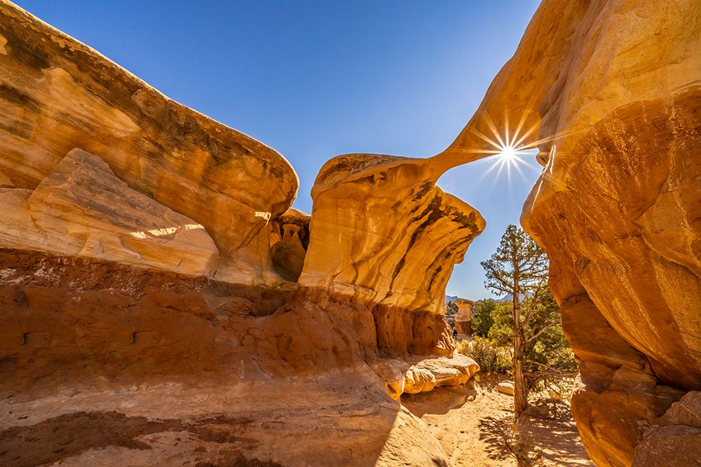 USA- Utah- Grand Staircase Escalante National Monument. Sunburst on eroded rock art print by Jaynes Gallery for $57.95 CAD