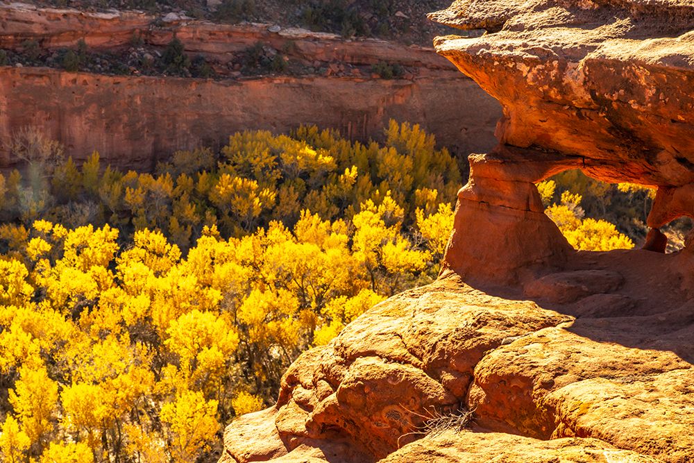 USA- Utah- Grand Staircase Escalante National Monument. Escalante River Basin rock formations. art print by Jaynes Gallery for $57.95 CAD
