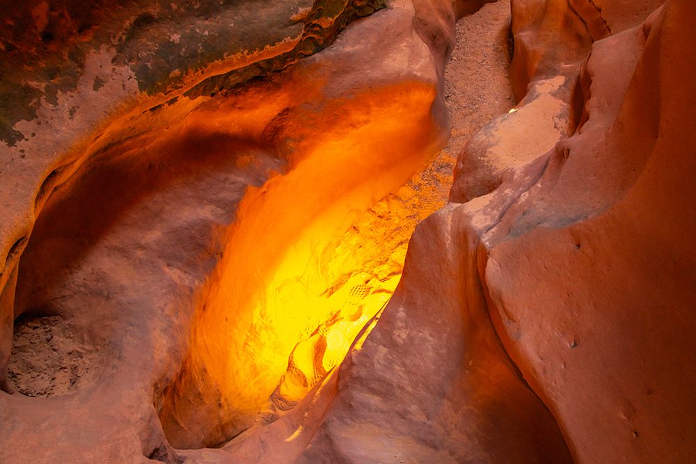 USA- Utah- Grand Staircase Escalante National Monument. Bighorn Canyon trail. art print by Jaynes Gallery for $57.95 CAD