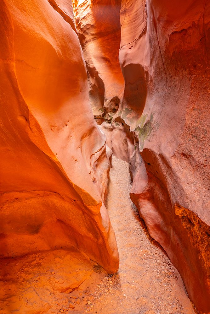 USA- Utah- Grand Staircase Escalante National Monument. Bighorn Canyon trail. art print by Jaynes Gallery for $57.95 CAD