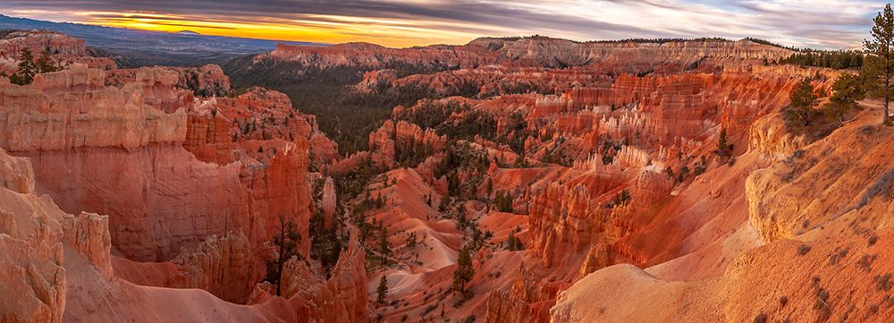 USA-Utah-Bryce Canyon National Park Panoramic of canyon at sunrise art print by Jaynes Gallery for $57.95 CAD