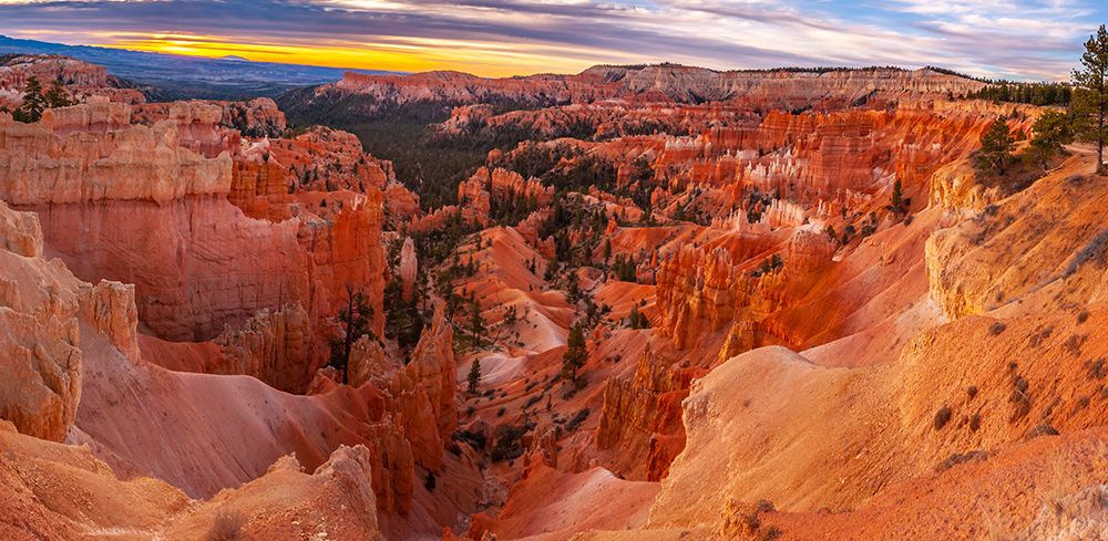 USA-Utah-Zion National Park Panoramic of Fairyland Point in Zion Canyon at sunrise art print by Jaynes Gallery for $57.95 CAD