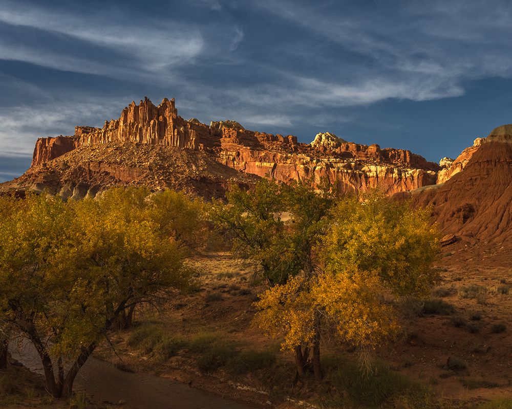 USA-Utah-Capital Reef National Park Sunrise on mountain formations and trees art print by Jaynes Gallery for $57.95 CAD