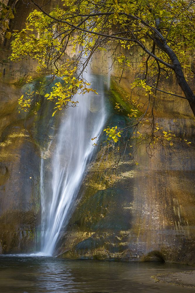 USA-Utah-Capital Reef National Park Waterfall and tree overlooking pool art print by Jaynes Gallery for $57.95 CAD