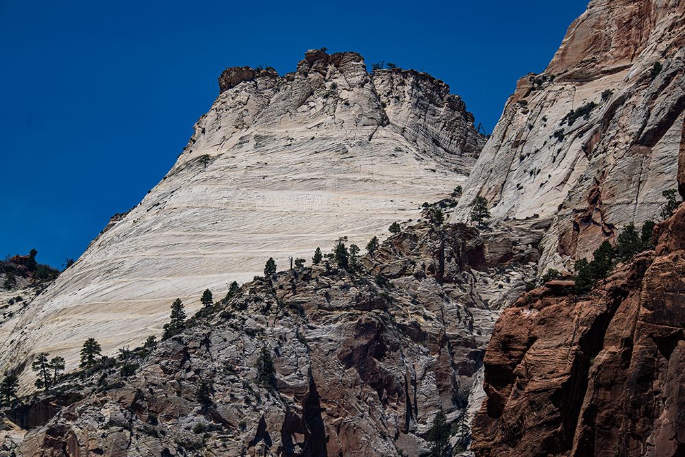 Iconic Checkerboard Mesa is close to the main road through Zion National Park. art print by Betty Sederquist for $57.95 CAD
