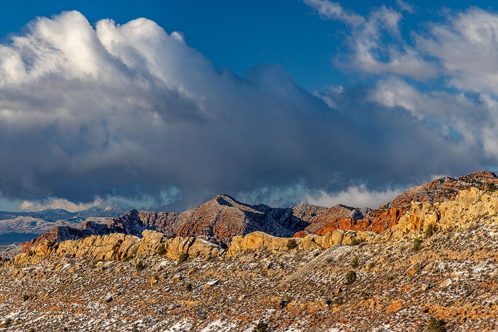Fresh snowfall on reefs in Red Cliffs National Conservation Area near St. George, Utah, USA art print by Chuck Haney for $57.95 CAD
