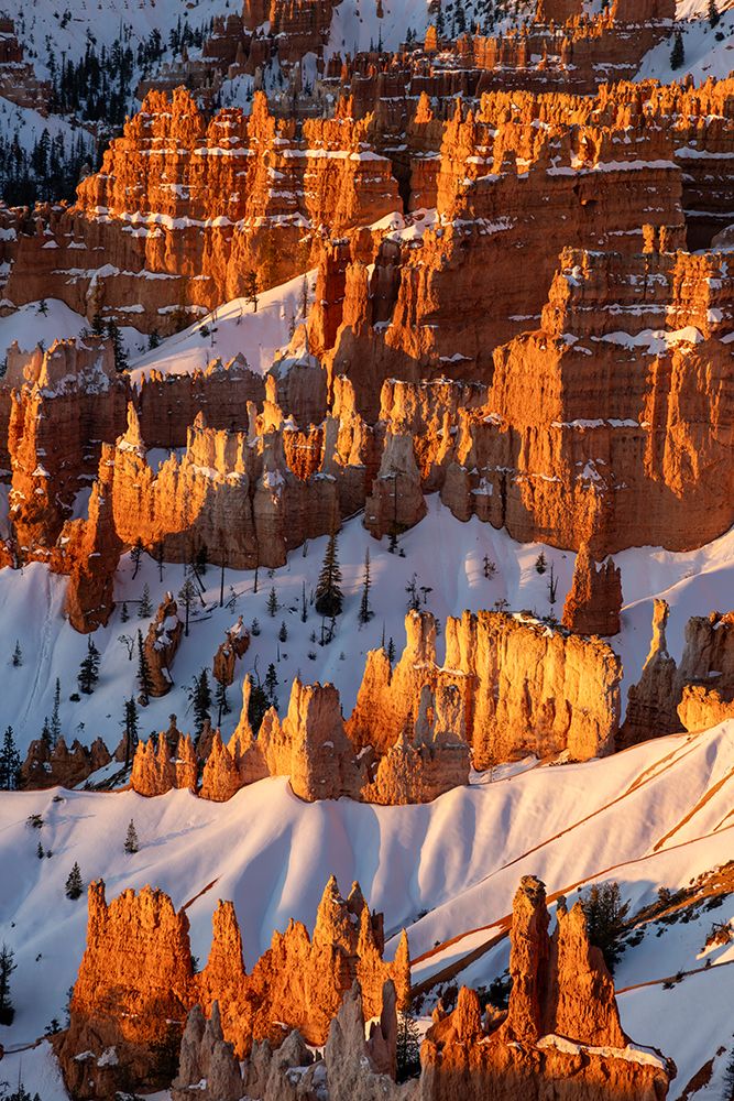 Hoodoos at first light at sunrise Point in Bryce Canyon National Park, Utah, USA. art print by Chuck Haney for $57.95 CAD