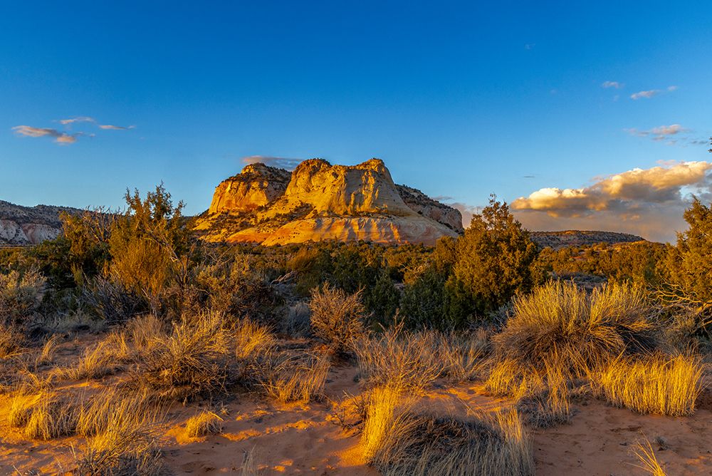 Dianas Throne sandstone formation near Kanab, Utah, USA. art print by Chuck Haney for $57.95 CAD