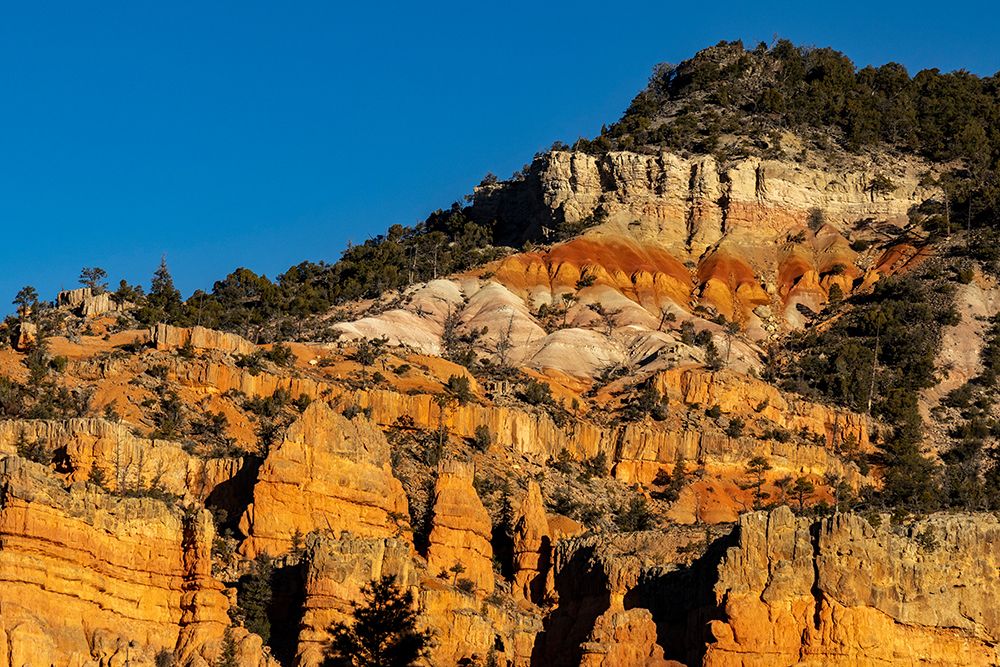 Sandstone formation in Red Canyon in Dixie National Forest, Utah, USA. art print by Chuck Haney for $57.95 CAD