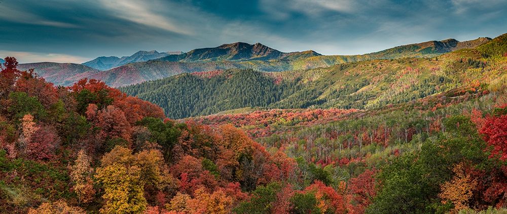 Multicolored fall panoramic landscape-Wasatch Mountains-near Park City and Midway-Utah-USA art print by Howie Garber for $57.95 CAD