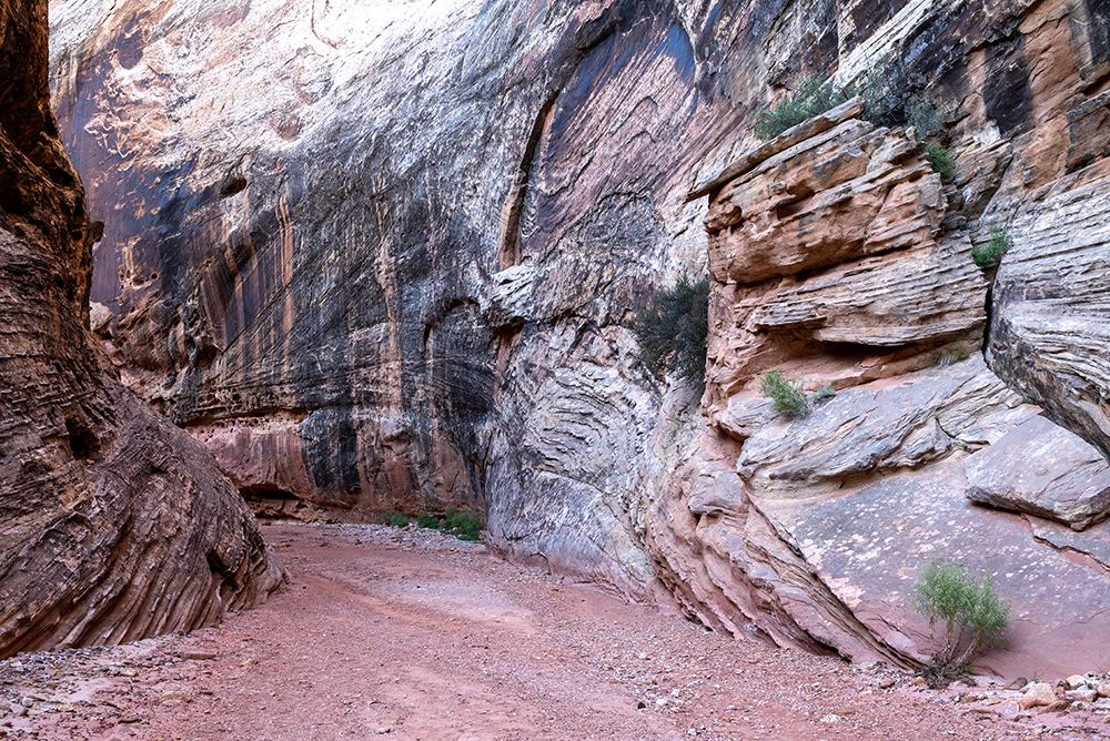 USA-Utah-Grand Wash-Capitol Reef National Park art print by Janell Davidson for $57.95 CAD