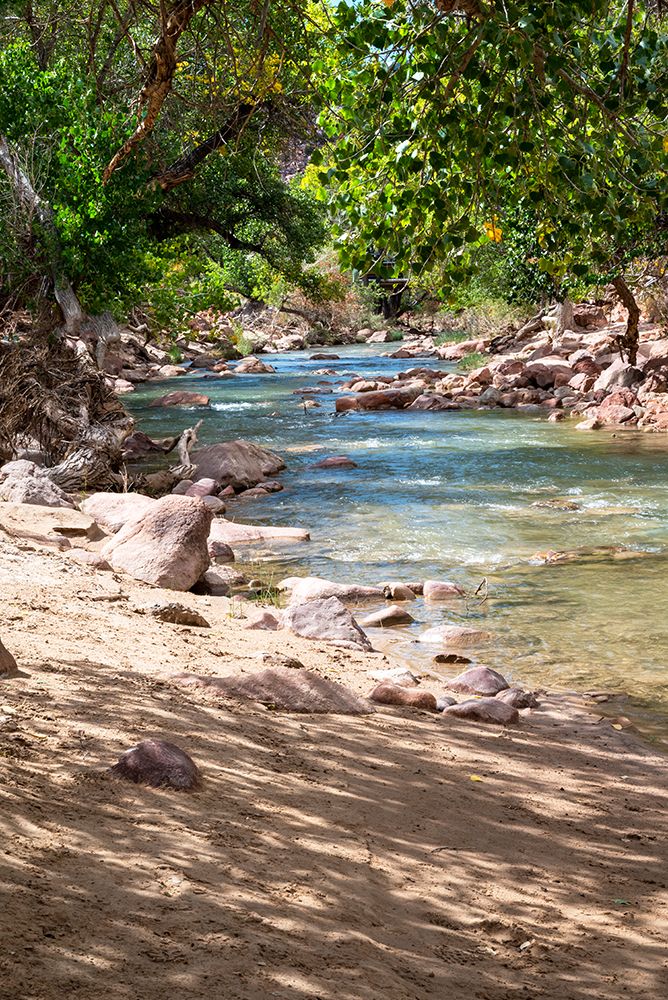 USA-Utah-Virgin River-Zion National Park art print by Janell Davidson for $57.95 CAD
